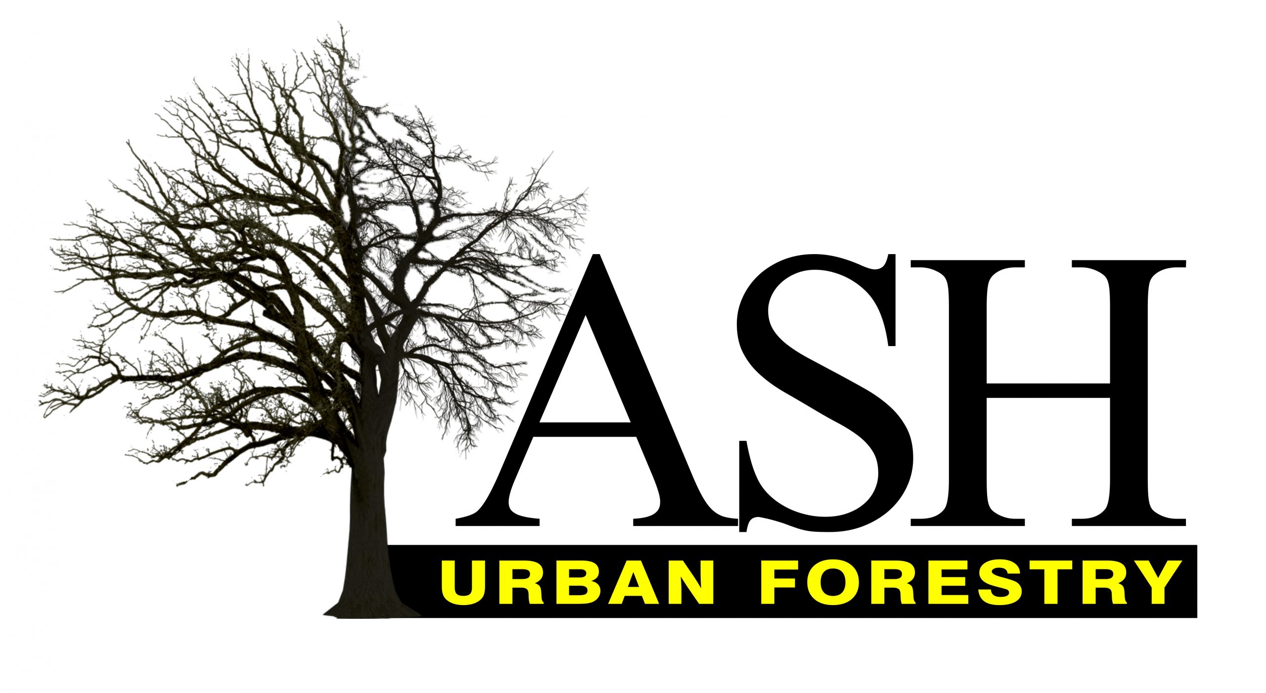Ash Urban Forestry | Tree Removal | Tree Pruning | Stump Removal